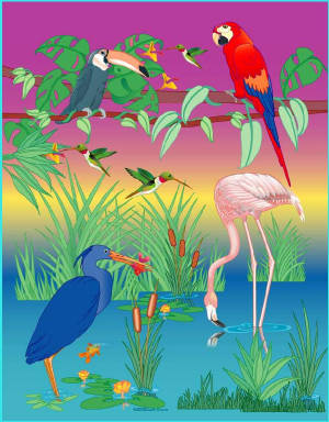 tropicalbirds.jpg